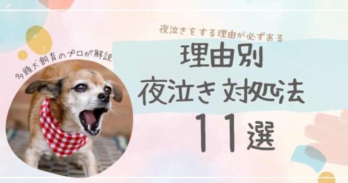 老犬の夜泣き