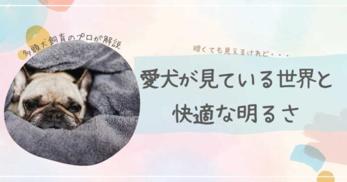 犬に快適な明るさ