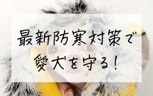 犬の防寒対策
