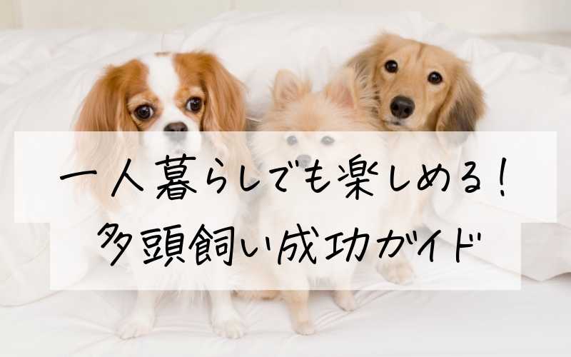 多頭飼い成功ガイド