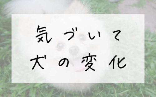 気づいて 犬の変化