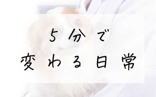 5分で 変わる日常