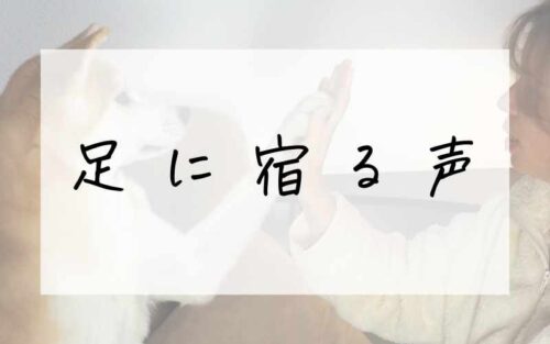 足に宿る声