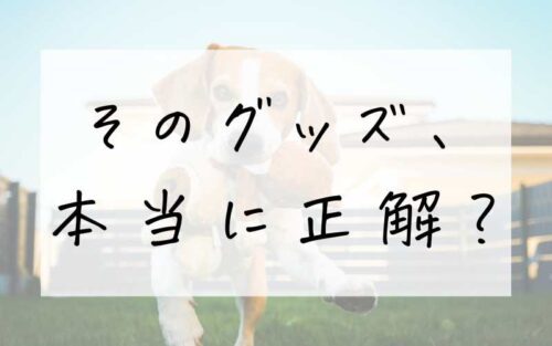 そのグッズ、 本当に正解？