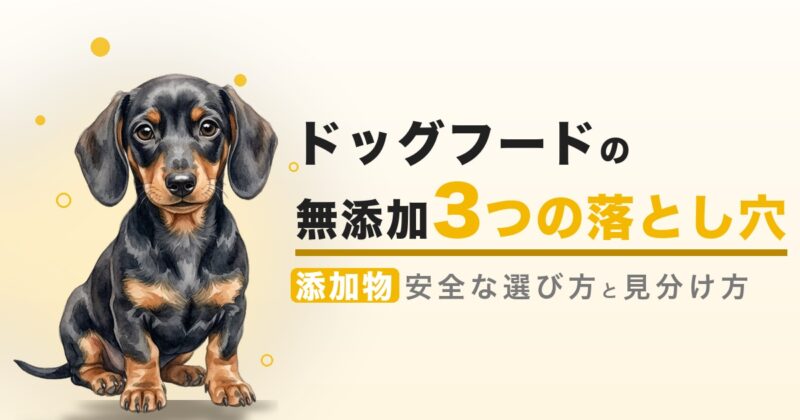 ドッグフードの無添加 3つの落とし穴