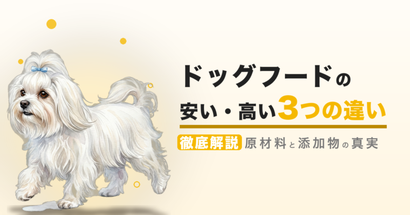 ドッグフードの安い・高い 3つの違い