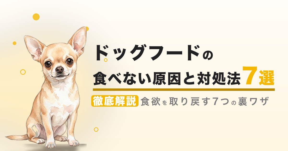 ドッグフードの食べない原因と対処法 7選
