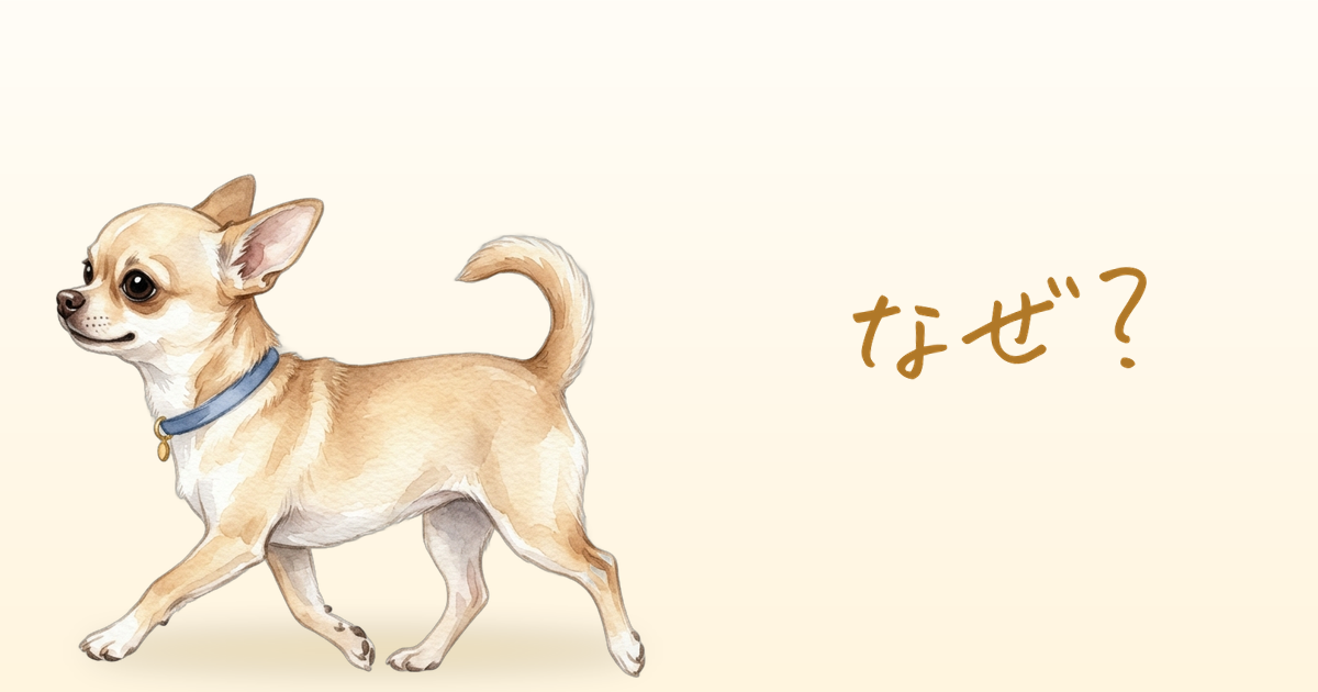 なぜ？