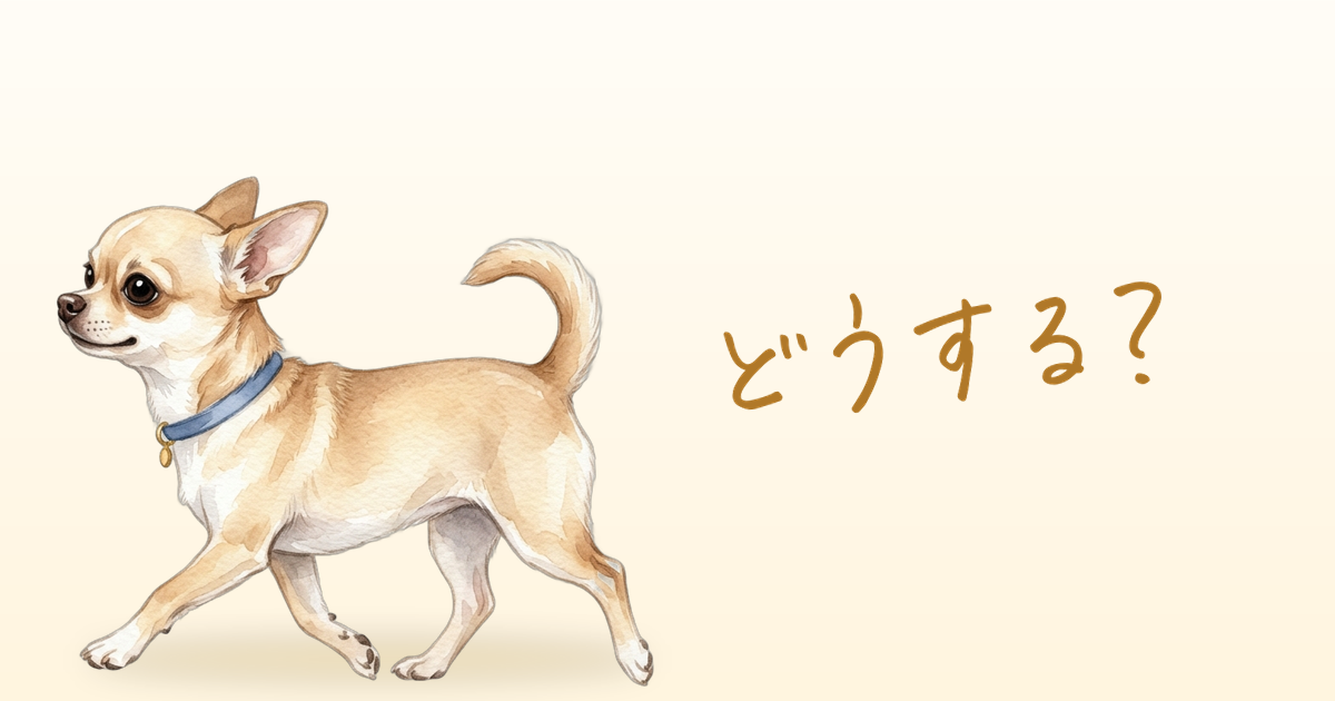 どうする？