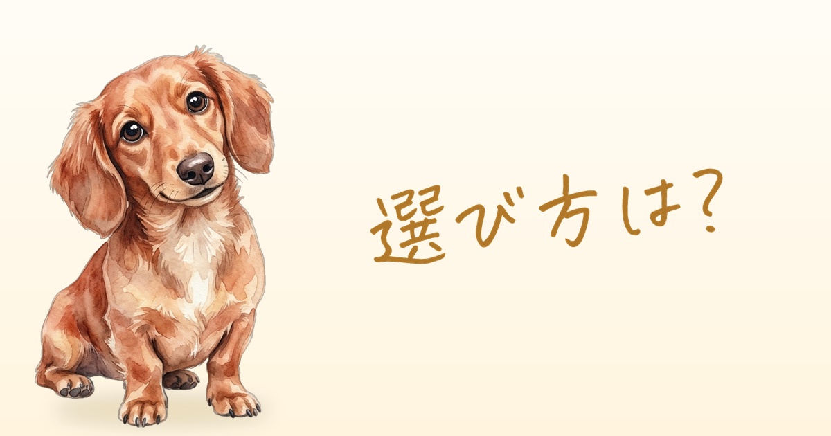 選び方は？