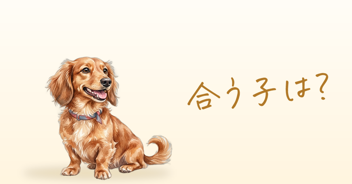 合う子は？