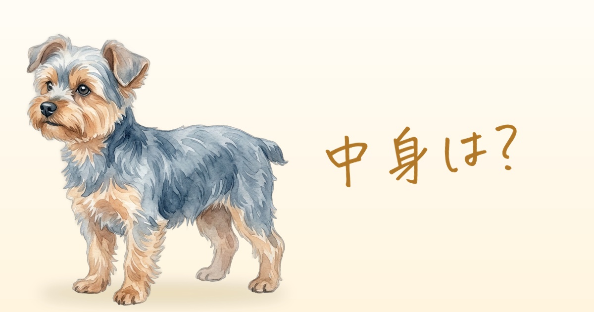 中身は？