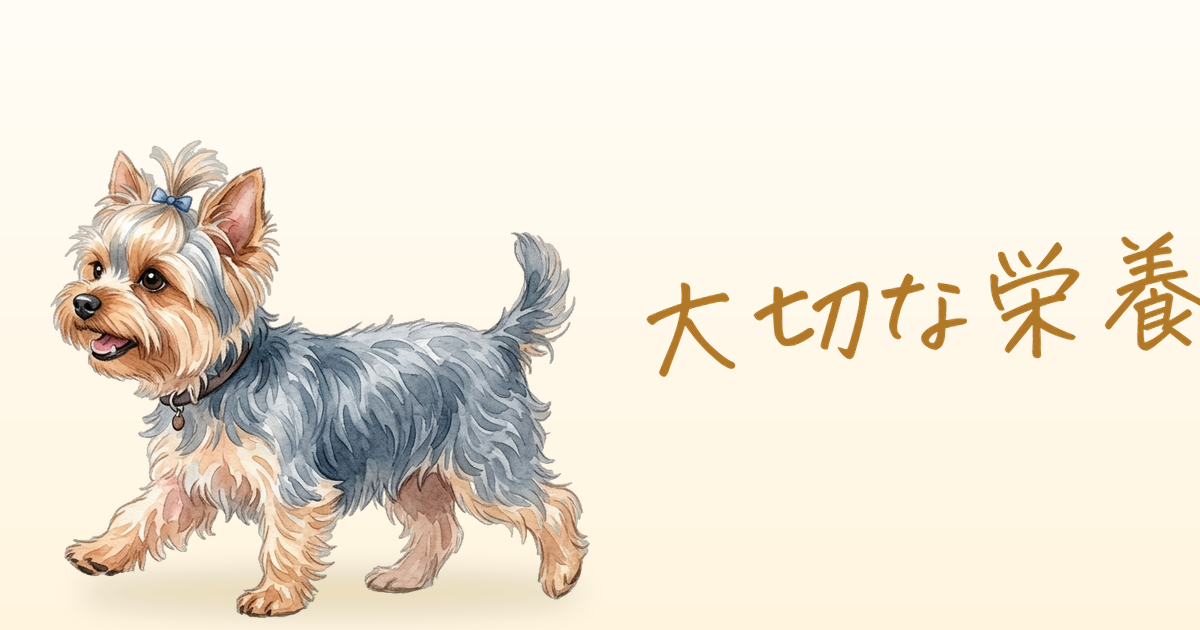 大切な栄養