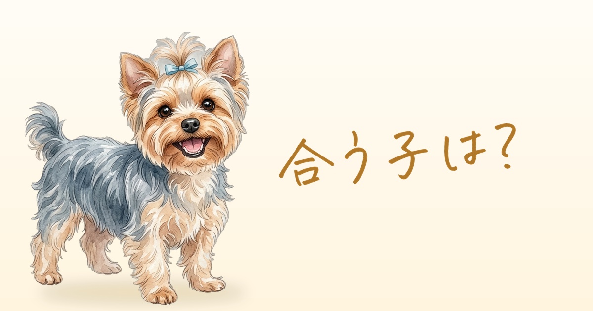 合う子は？