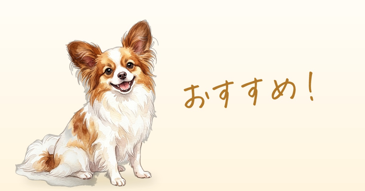 おすすめ！
