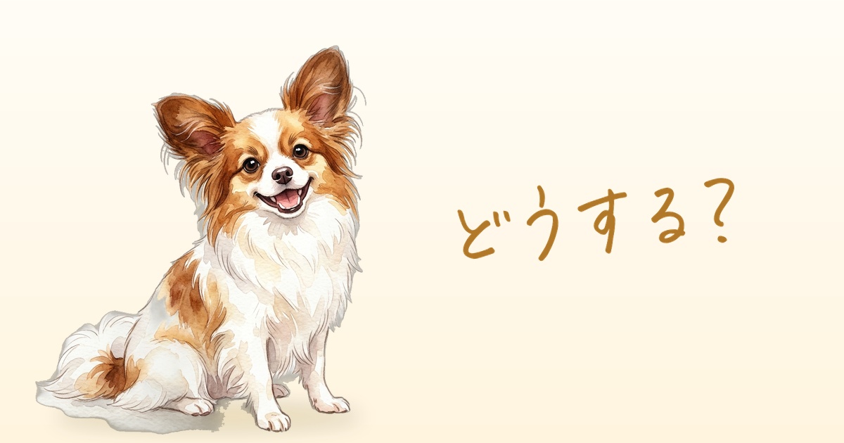 どうする？