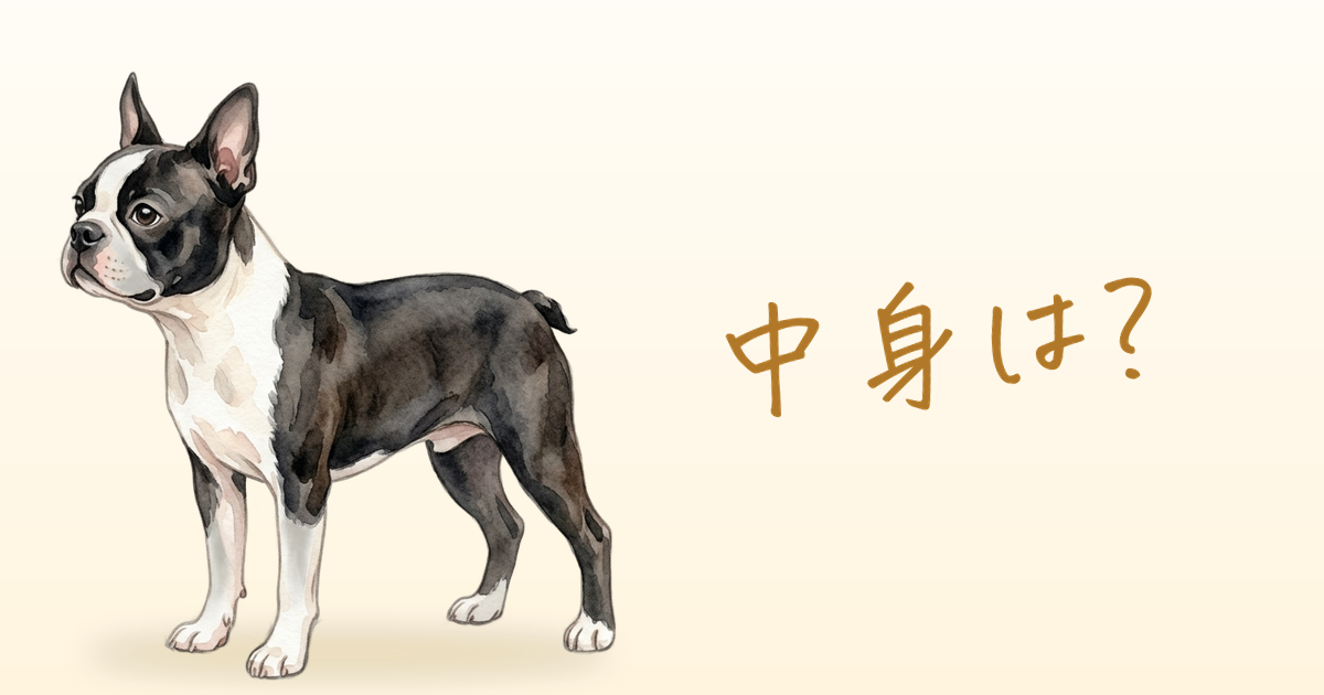 中身は？