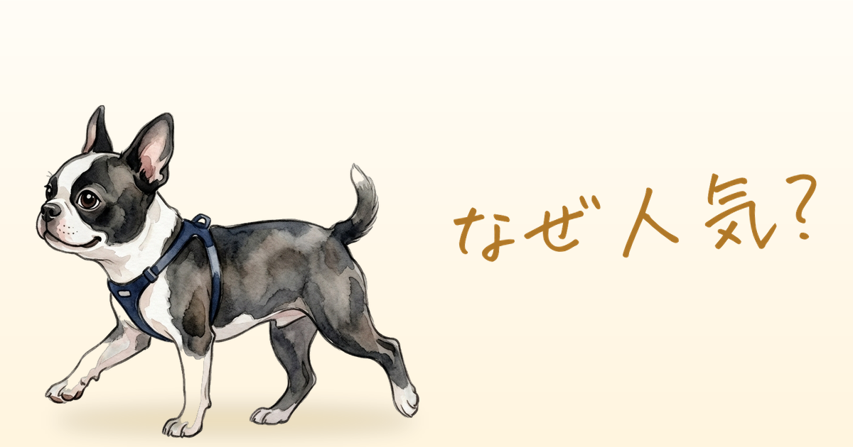 なぜ人気？