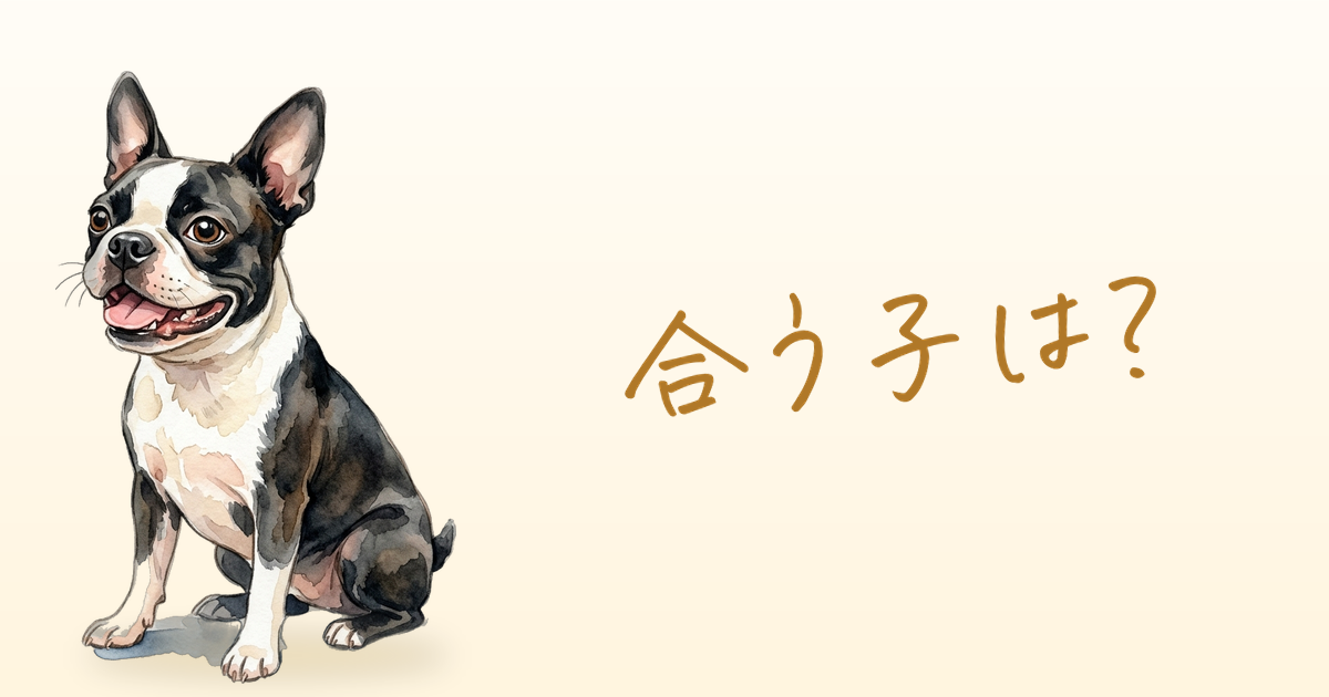 合う子は？