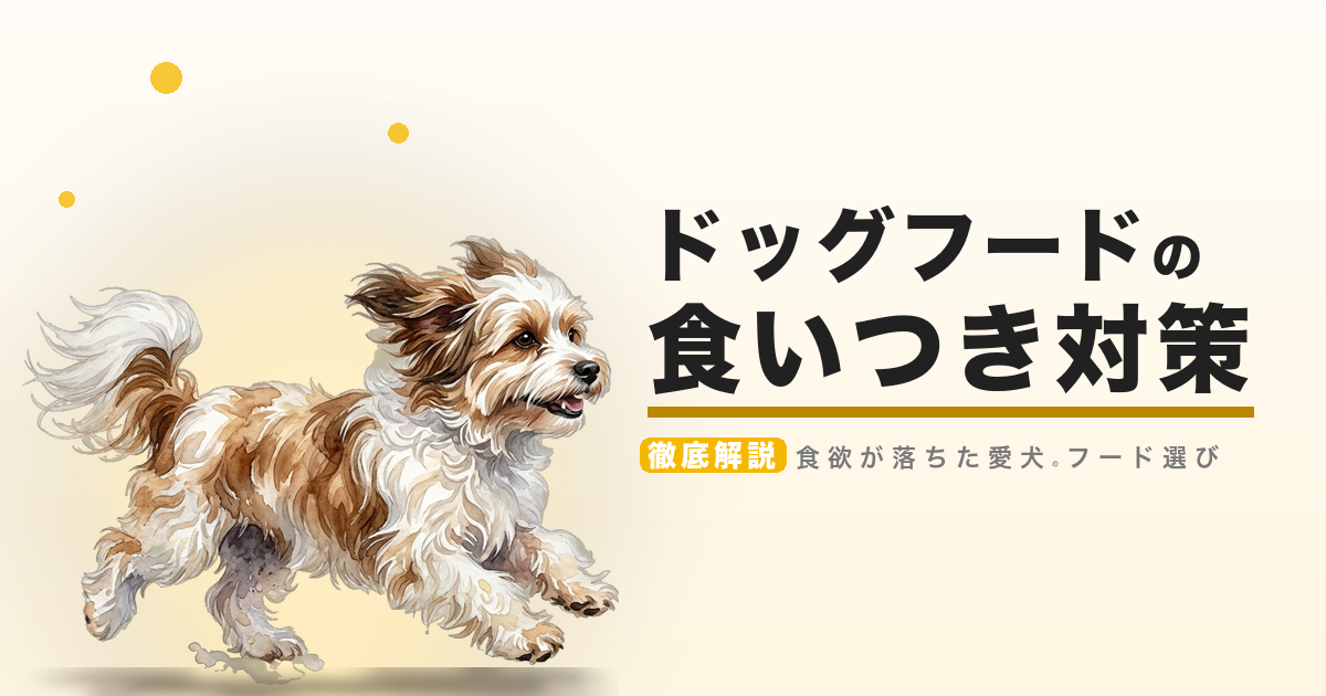 ドッグフードの食いつき対策