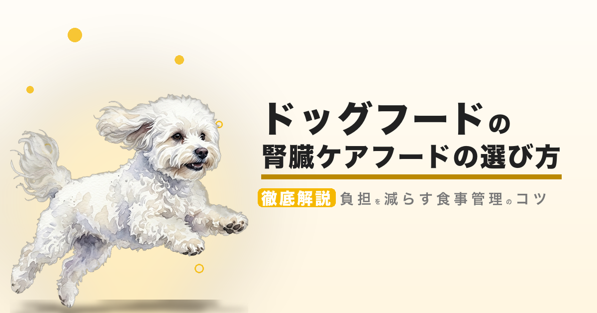ドッグフードの腎臓ケアフードの選び方