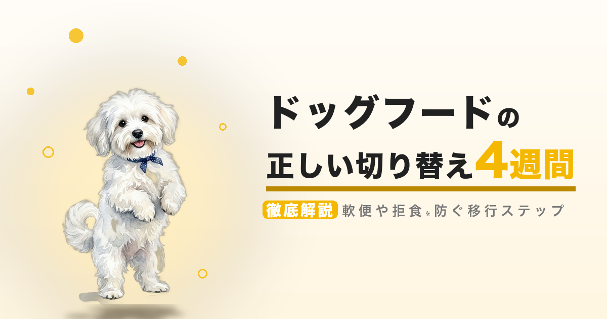 ドッグフードの正しい切り替え 4週間