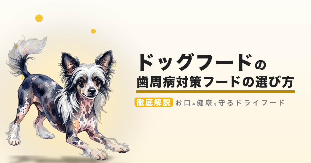 ドッグフードの歯周病対策フードの選び方