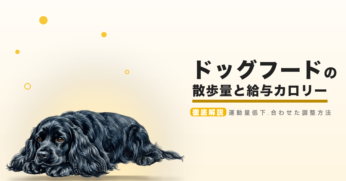 ドッグフードの散歩量と給与カロリー
