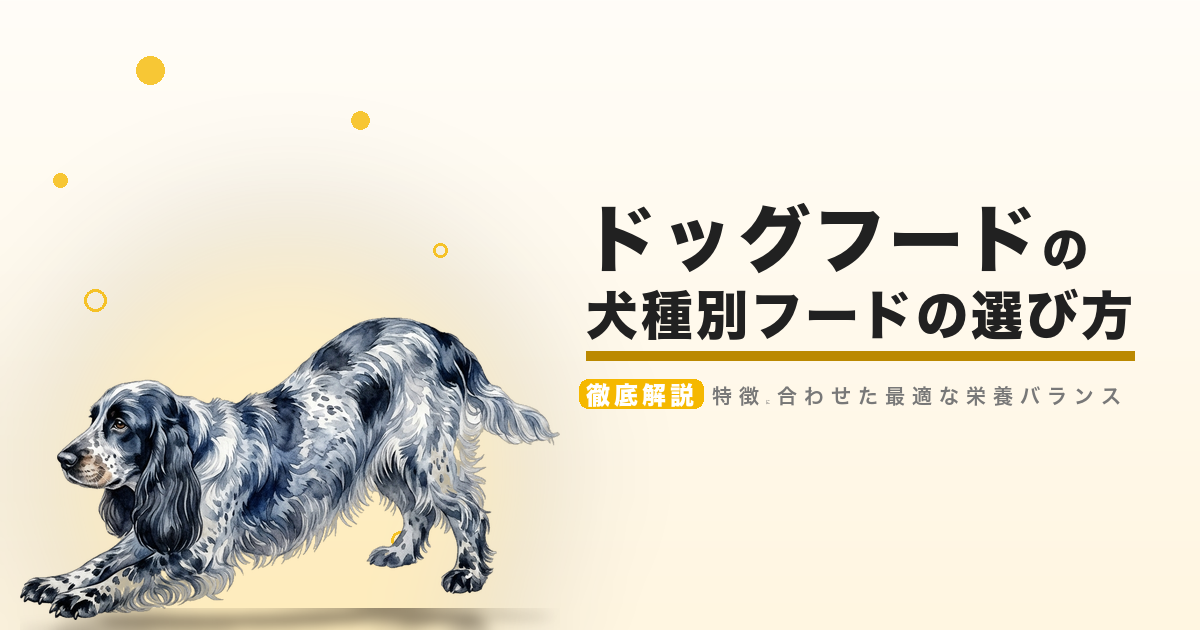 ドッグフードの犬種別フードの選び方