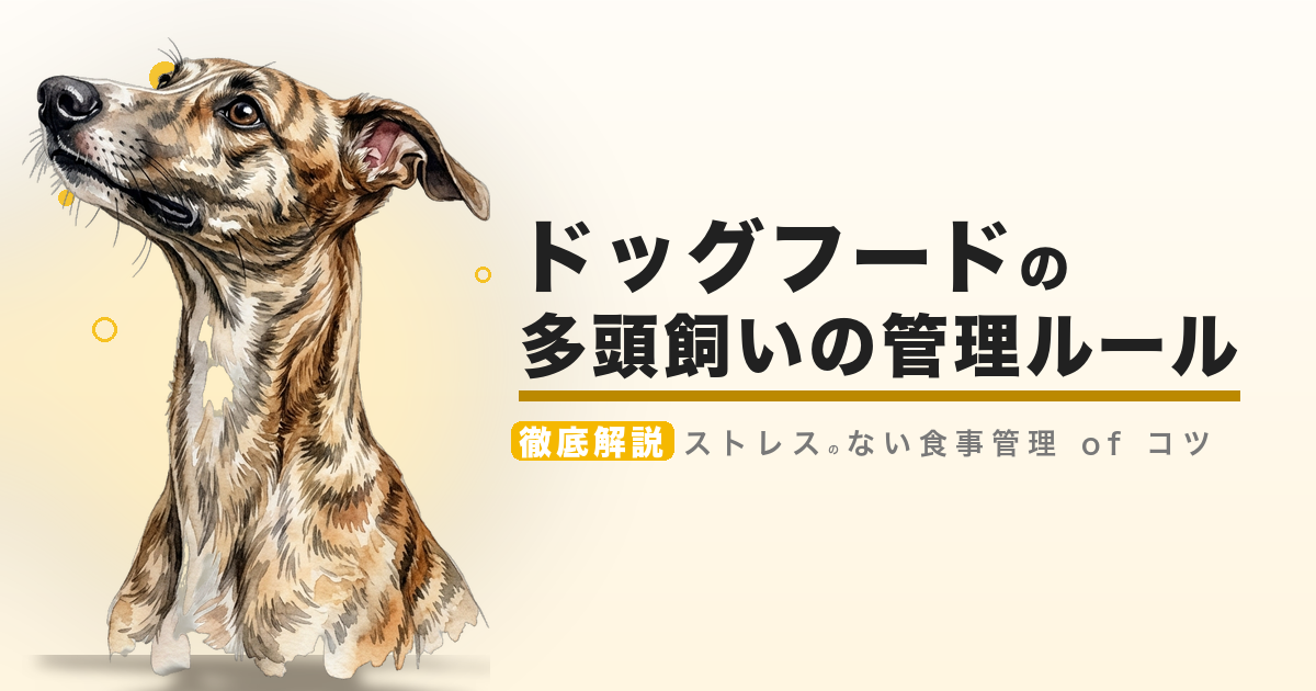ドッグフードの多頭飼いの管理ルール