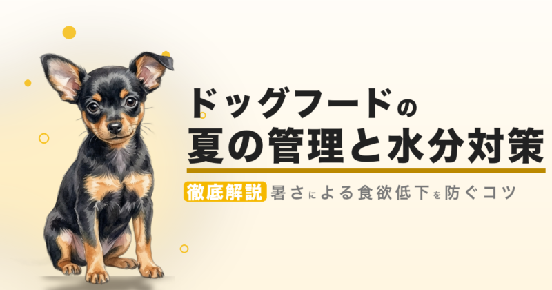 ドッグフードの夏の管理と水分対策