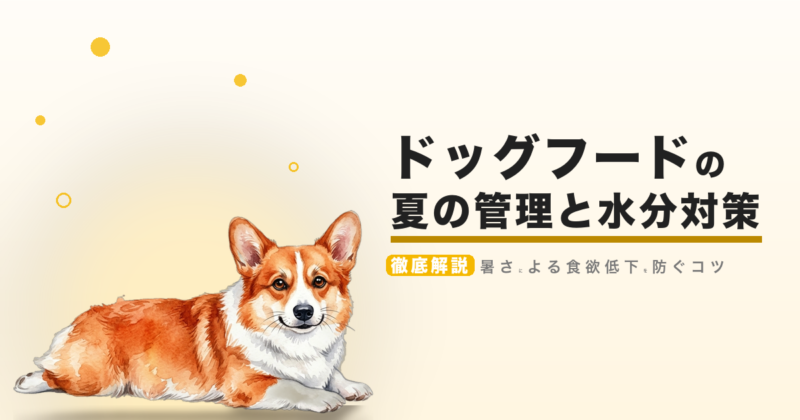 ドッグフードの夏の管理と水分対策