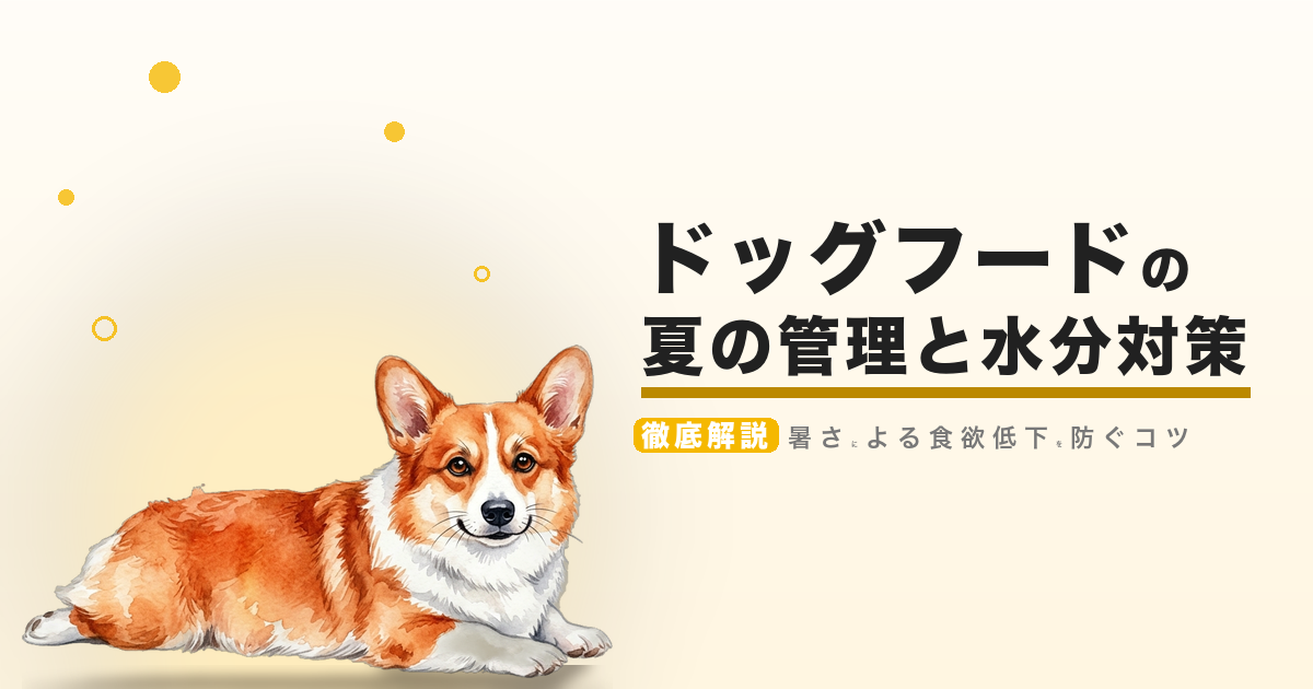 ドッグフードの夏の管理と水分対策