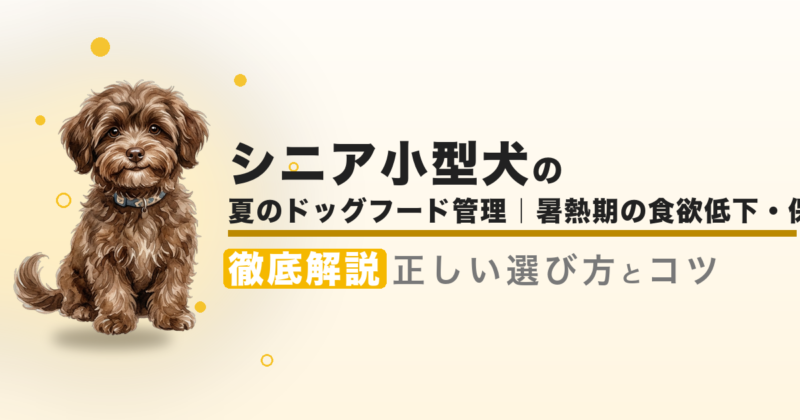 夏のドッグフード管理|暑熱期の食欲低下・保存・水分対策