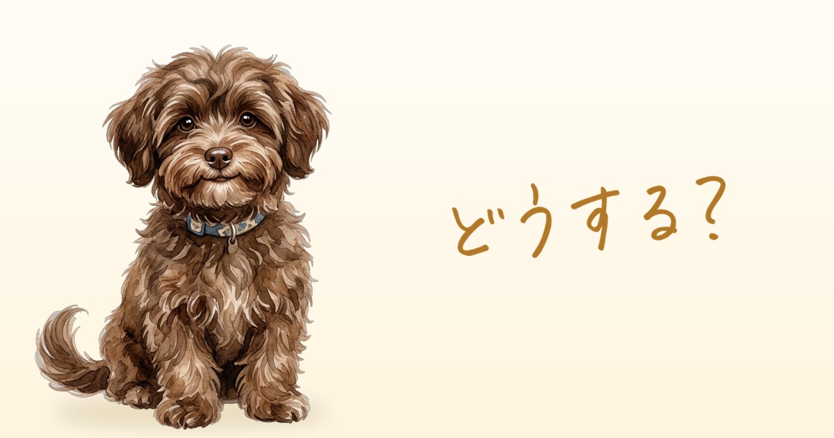 どうする？