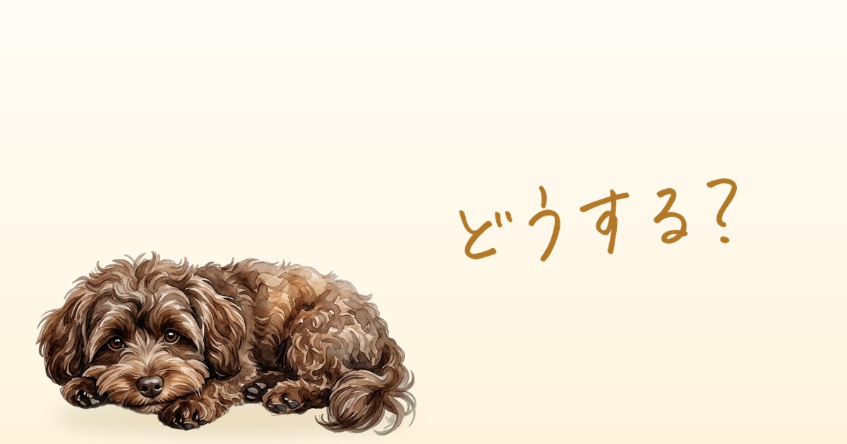 どうする？