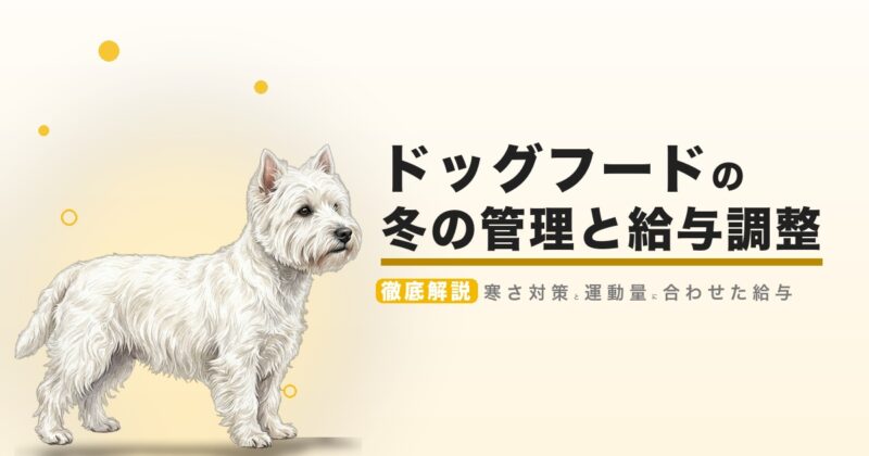 ドッグフードの冬の管理と給与調整