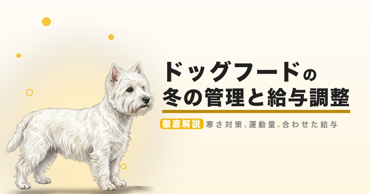 ドッグフードの冬の管理と給与調整