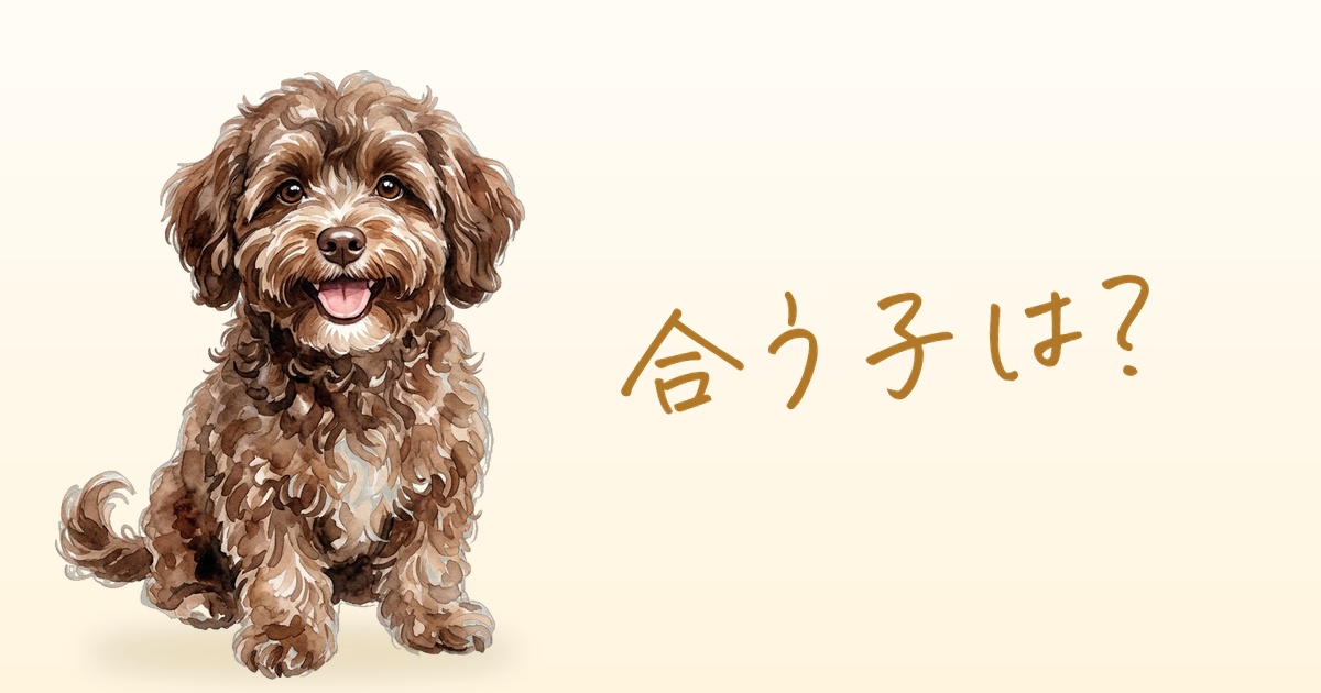 合う子は？
