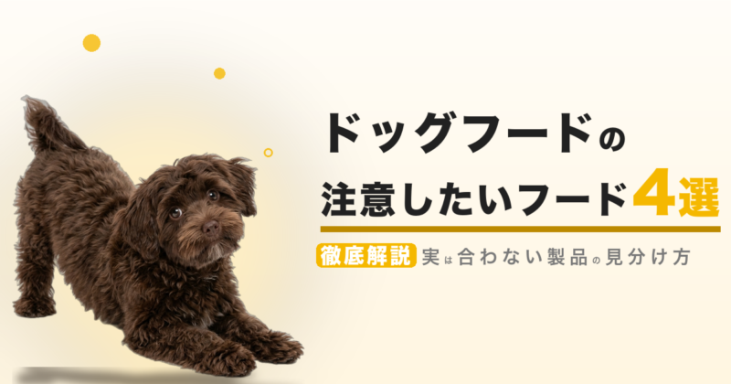 ドッグフードの注意したいフード 4選