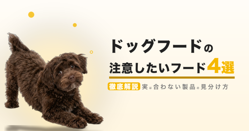 ドッグフードの注意したいフード 4選