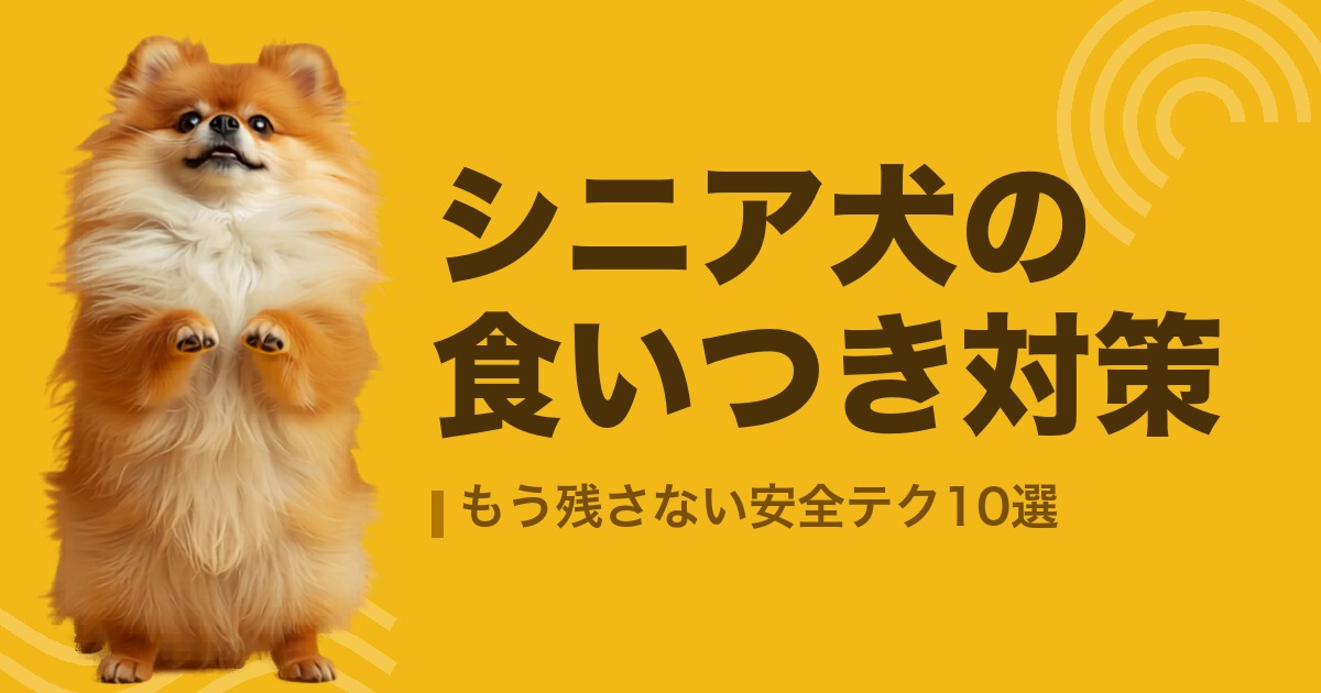 シニア犬の食いつき対策