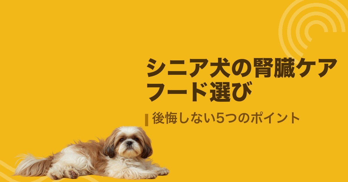 シニア犬の腎臓ケアフード選び