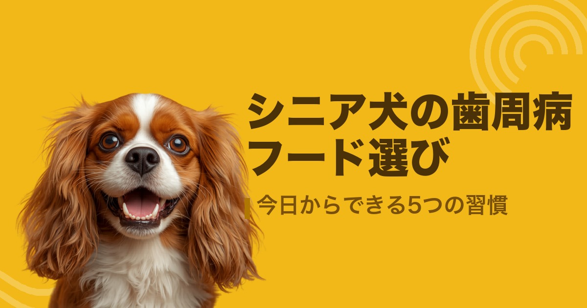 シニア犬の歯周病フード選び