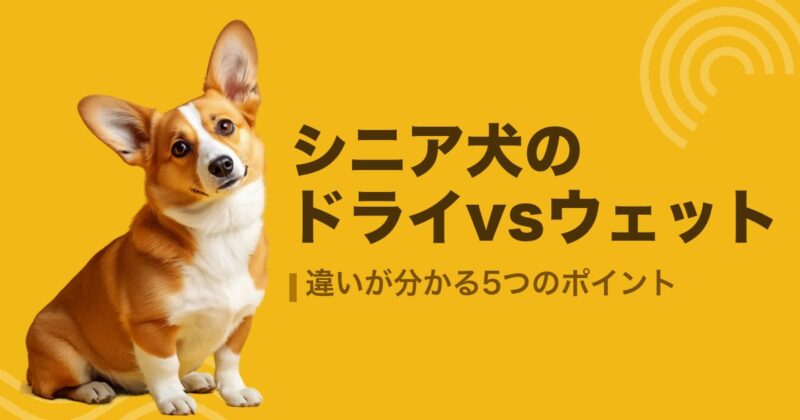 シニア犬のドライvsウェット