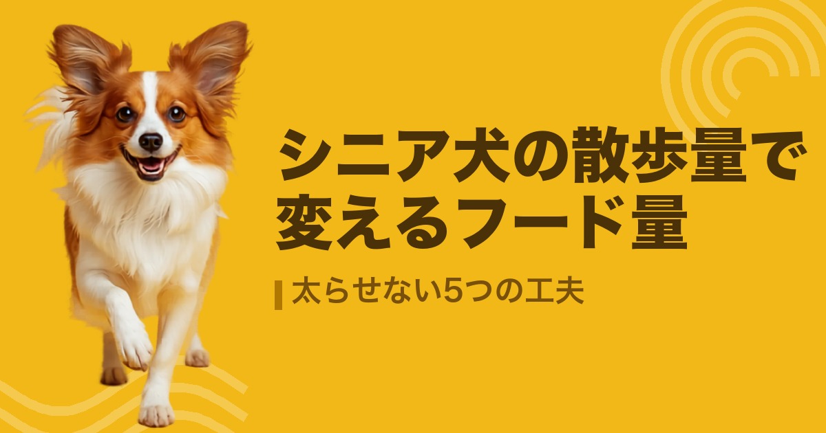 シニア犬の散歩量で変えるフード量