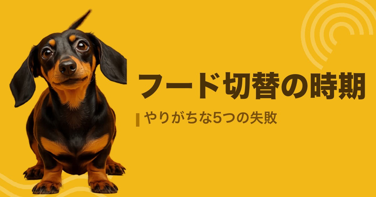 フード切替の時期