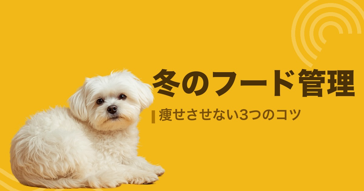 冬のフード管理