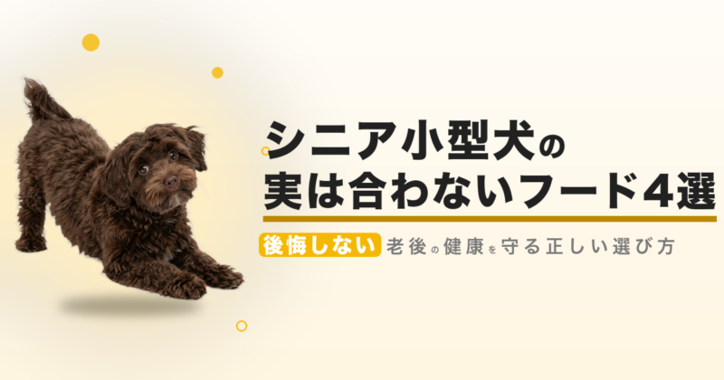 ⚠️注意したいシニア小型犬向けドッグフード4選