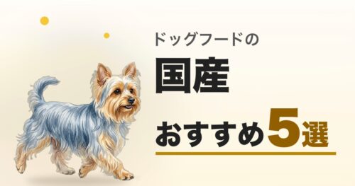 国産ドッグフード おすすめ5選